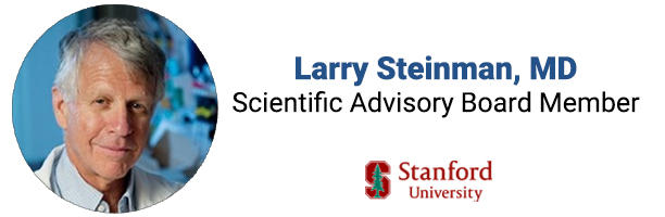 steinman
